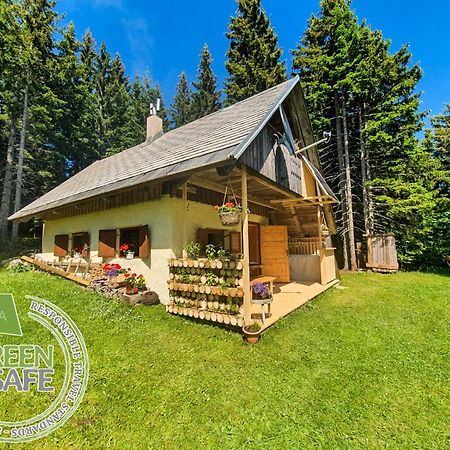 Mountain Eco Chalet Konjska Dolina On 1400 M Asl -Near Pokljuka Srednja Vas v Bohinju Dış mekan fotoğraf