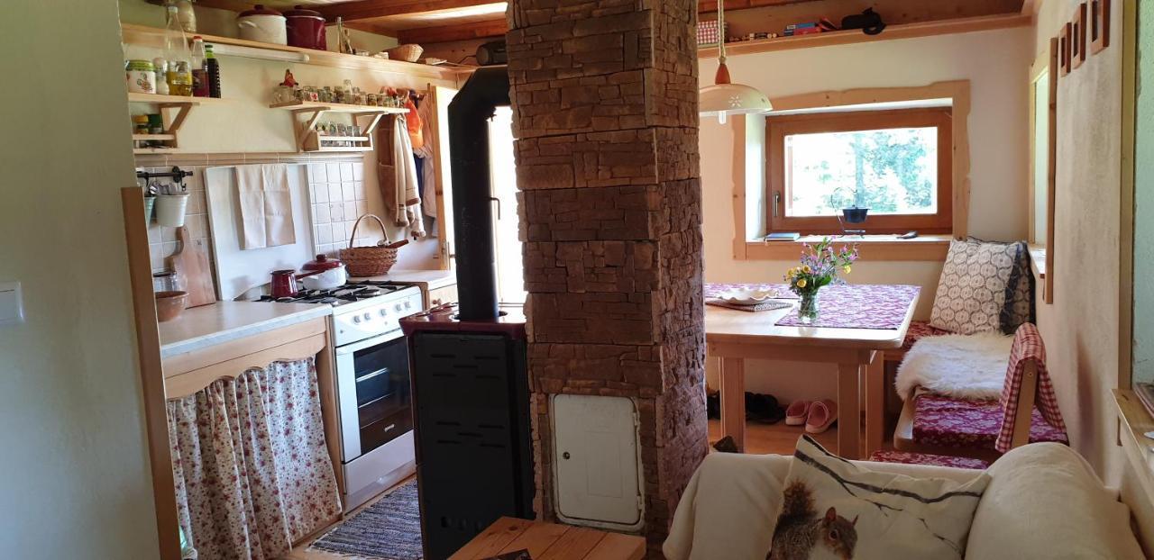 Mountain Eco Chalet Konjska Dolina On 1400 M Asl -Near Pokljuka Srednja Vas v Bohinju Dış mekan fotoğraf