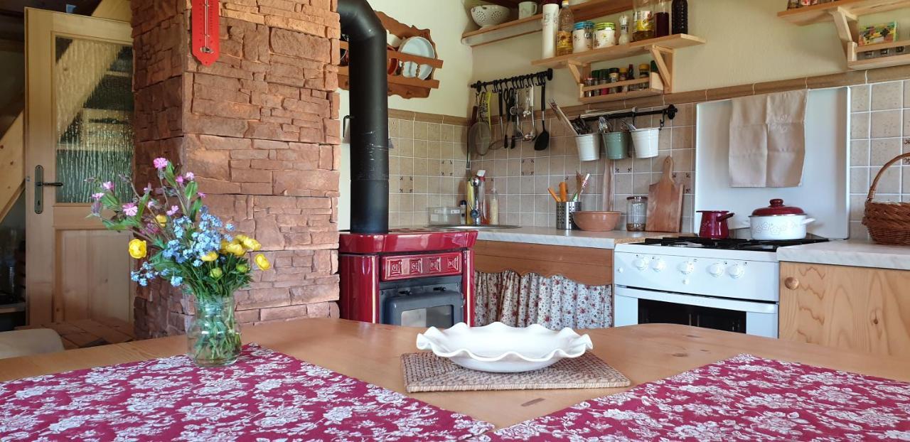 Mountain Eco Chalet Konjska Dolina On 1400 M Asl -Near Pokljuka Srednja Vas v Bohinju Dış mekan fotoğraf