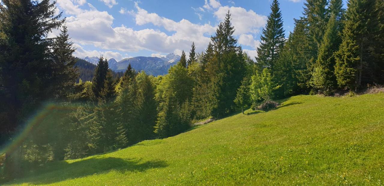 Mountain Eco Chalet Konjska Dolina On 1400 M Asl -Near Pokljuka Srednja Vas v Bohinju Dış mekan fotoğraf