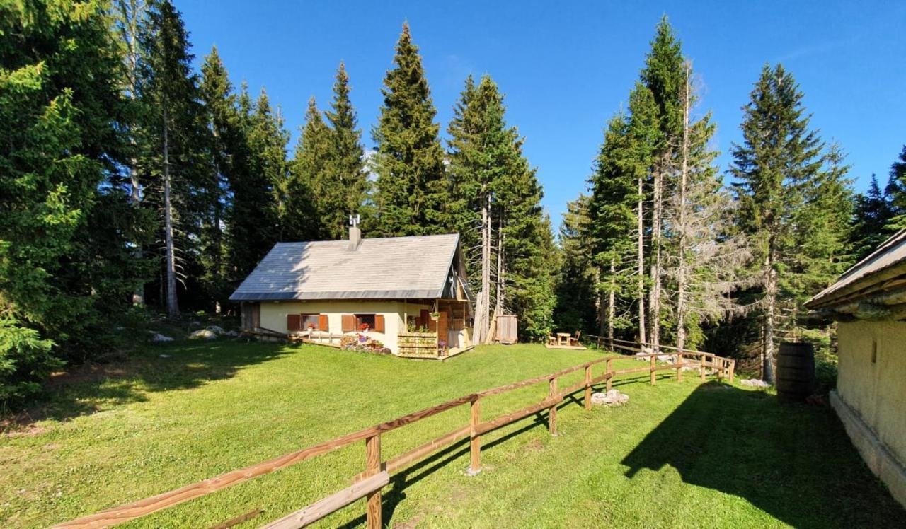 Mountain Eco Chalet Konjska Dolina On 1400 M Asl -Near Pokljuka Srednja Vas v Bohinju Dış mekan fotoğraf