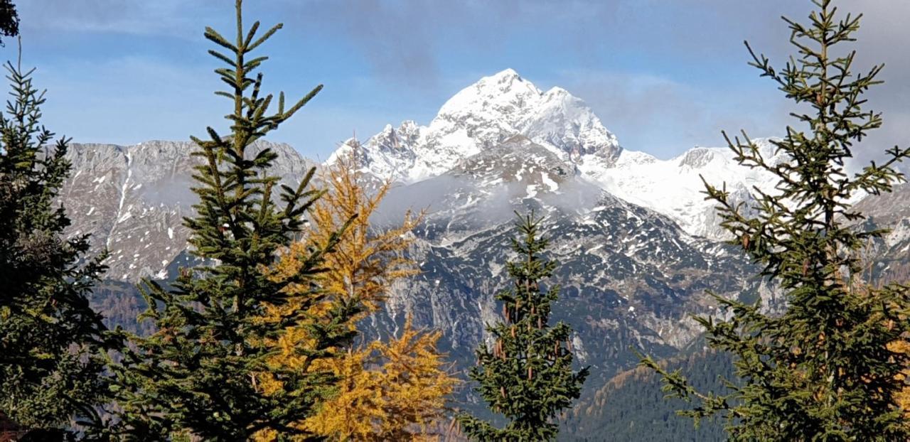 Mountain Eco Chalet Konjska Dolina On 1400 M Asl -Near Pokljuka Srednja Vas v Bohinju Dış mekan fotoğraf
