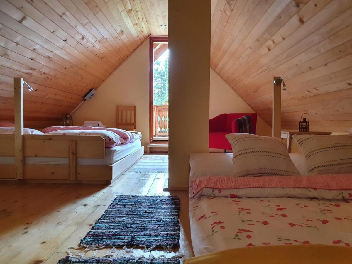 Mountain Eco Chalet Konjska Dolina On 1400 M Asl -Near Pokljuka Srednja Vas v Bohinju Dış mekan fotoğraf