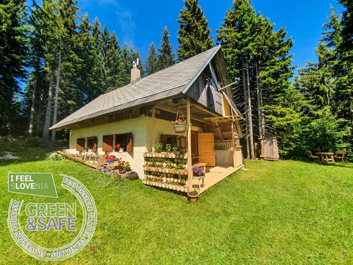 Mountain Eco Chalet Konjska Dolina On 1400 M Asl -Near Pokljuka Srednja Vas v Bohinju Dış mekan fotoğraf